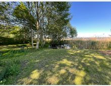 Grüne Wiese mit schattenspendenden Bäumen am Ufer eines kleinen Teiches, umgeben von hohen Schilfgräsern. Im Hintergrund erstreckt sich ein klarer blauer Himmel.