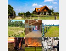Collage von Bildern eines Reiterhofs: Oben ein Wohnhaus mit rotem Dach, umgeben von eingezäunten Grünflächen; links mittig grüne Weiden mit Holzzäunen; rechts eine grasbewachsene Koppel; darunter ein Stallinnenraum mit Boxen; links unten ein Pferd auf der Weide bei Sonnenuntergang; rechts unten zwei Pferde, geführt von einer Person.