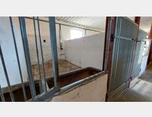 Innenraum eines leeren Stalls mit weiß gestrichenen Wänden und Betonboden. Im Vordergrund befindet sich ein Futtertrog, rechts sind Metallboxentüren und Gitterstäbe sichtbar, im Hintergrund ein Fenster mit Tageslichteinfall.