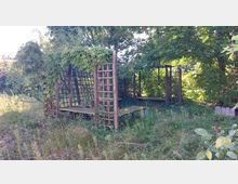 Holzpergola in einem überwucherten Garten mit Rankgittern, teilweise mit grünem Efeu bedeckt. Die Umgebung ist dicht bewachsen mit Gras, Sträuchern und Bäumen, die für Schatten sorgen.