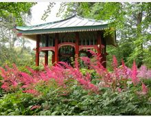 Chinesischer Pavillon mit geschwungenem, grünem Dach und roten Säulen, umgeben von dichtem grünen Laub und leuchtend pink blühenden Pflanzen in einem Garten.