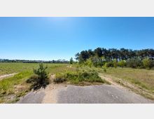 Weite Landschaft mit einer grasbewachsenen Fläche und einem unbefestigten Feldweg, der in einen Wald aus Kiefern und Laubbäumen führt. Im Hintergrund sind ein Bahngleis und mehrere Güterwaggons sowie ein klarer blauer Himmel sichtbar.