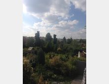 Gartenlandschaft mit dichtem Grün, darunter Sträucher, Bäume und mehrere Pflanzenarten. Im Hintergrund sind Hausdächer sowie ein bewölkter Himmel sichtbar; rechts steht ein Sonnenschirm neben einem Holzzaun.