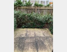 Ein kleiner, gepflasterter Außenbereich mit einer Reihe von Sträuchern im Hintergrund, die vor einem Holzzaun stehen; dahinter sind Fenster eines Gebäudes sichtbar.