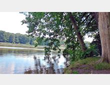 Ein See mit ruhiger Wasseroberfläche, umgeben von einer dichten Baumlandschaft. Im Vordergrund steht ein großer Baum mit ausladenden Ästen, die teilweise über das Wasser ragen; am Ufer ist grasbewachsener Boden sichtbar.