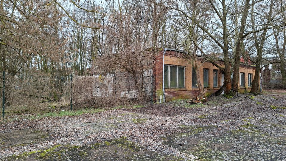 Verlassenes, niedriges Backsteingebäude mit flachem Dach und einer Reihe großer Fenster an der Seitenfassade, teilweise von Büschen und Bäumen überwuchert. Davor liegt ein verwitterter, moosiger Asphalt- oder Betonplatz mit Laub, umgeben von dichtem, kahlem Wald.