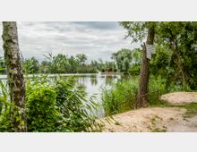 Ein ruhiger See, umgeben von dichtem Grün aus Schilf, Bäumen und Sträuchern. Im Vordergrund ist ein sandiger Weg mit einer Metallabsperrung zu sehen, und ein Hinweisschild hängt an einem Baumstamm.