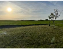 Weite Wiesenlandschaft mit geschnittenem Gras im Vordergrund, zwei schlanken Bäumen rechts und einer flachen Hügelkette im Hintergrund. Die Sonne steht tief am Himmel und schafft eine warme Abendstimmung.