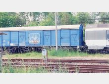 Blauer Güterwaggon mit einem weißen Symbol eines Fahrrads und der Aufschrift „Die Bahn fährt Rad“ steht auf einem bewachsenen Bahngleis neben weiteren Waggons und Schienen, umgeben von Bäumen.