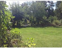 Ein grüner Garten mit einer Rasenfläche, umgeben von Bäumen und Sträuchern. Im Hintergrund stehen ein paar Gartenstühle unter schattenspendenden Bäumen.