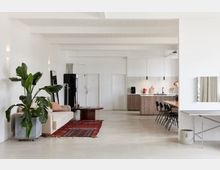 Modernes Wohnzimmer im offenen Loft-Stil mit weißen Wänden, einem beigen Sofa, großem Pflanzenarrangement und einem roten Teppich. Im Hintergrund befinden sich eine Küche mit Holzfronten und ein Esstisch mit Stühlen.