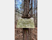 Ein verwittertes Schild mit der Aufschrift „HALT!“ ist teilweise von einem Baumstamm umwachsen, in einem Wald mit dicht stehenden Kiefern und kahlen Ästen. Der Boden ist bedeckt mit trockenen Blättern und Ästen.