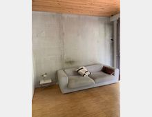 Wohnzimmer mit sichtbarer Betonwand, Holzboden und Decke aus hellem Holz. Im Vordergrund steht ein graues Sofa mit Kissen, daneben ein kleiner Beistelltisch mit einer Blumenvase.