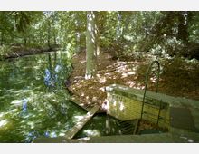 Ein bewaldeter Bereich mit einem ruhigen, schmalen Fluss, umgeben von dichtem Laub. Im Vordergrund befinden sich eine gelbe Backsteinstruktur mit einer Metallleiter und ein kleiner Wasserablauf mit einem Gitter.