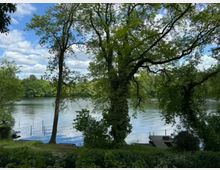 Ein See umgeben von dichter grüner Vegetation, mit mehreren Bäumen im Vordergrund, die teilweise von Kletterpflanzen bedeckt sind. Im Wasser befinden sich kleine Stege, und der Himmel ist mit leichten Wolken bedeckt.