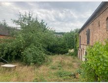 Hinterhof mit verwilderter Vegetation, darunter hohen Gräsern und Bäumen, daneben ein Backsteingebäude mit kleinen Fenstern und einer bewachsenen Außenwand. Der Himmel ist wolkig und im Hintergrund sind weitere Bäume und Dächer sichtbar.