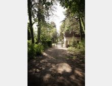 Dirt road leading to a metal gate surrounded by tall trees and bushes on a sunny day. To the right of the gate is a small white building.