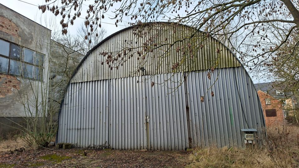 Blick auf eine halbrunde Lager- oder Industriehalle mit gewölbtem Dach aus Wellblech und einer breiten Front aus senkrechten Metallpaneelen. Im Vordergrund liegen braches, teils überwuchertes Gelände und kahle Baumäste; links grenzt ein älteres Gebäude mit großen Fenstern an.