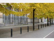 Straßenansicht mit einer Reihe von Bäumen in gelbem Herbstlaub, die einen Gehweg säumen. Im Hintergrund befindet sich ein Gebäude mit verzierten Metallgittern und gemauerten Fassadenelementen.