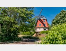 Eine historische Windmühle mit rotem, konischem Dach und Solarpaneelen auf den Flügeln, umgeben von dichter grüner Vegetation und einem unbefestigten Weg im Vordergrund unter blauem Himmel.