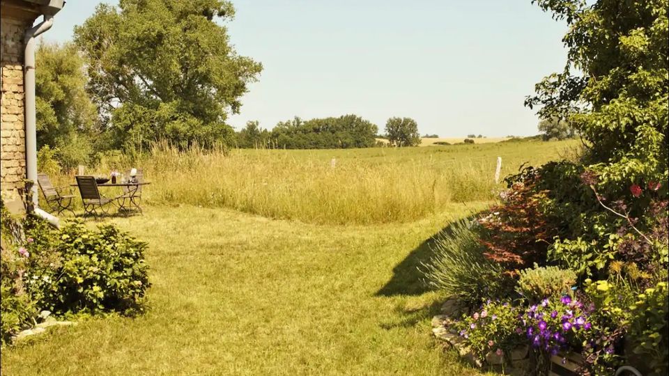 Gartenlandschaft mit einer Rasenfläche, von Blumenbeeten und Sträuchern gesäumt. Im Hintergrund erstrecken sich eine Wildblumenwiese und eine Baumreihe unter klarem, blauem Himmel.