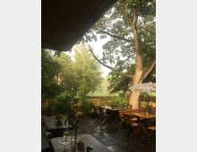 Außenbereich eines Cafés oder Restaurants mit Holztischen und -stühlen, umgeben von üppiger Vegetation und einem großen Baum. Im Hintergrund ein hölzerner Zaun und weitere Bäume, auf einem Tisch stehen Gläser und Blumenvasen.