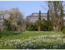 Grüne Parklandschaft mit einer Wiese voller weißer Blumen im Vordergrund, umgeben von blühenden Bäumen, Palmen und dichter Vegetation. Im Hintergrund steht ein großes gläsernes Gewächshaus mit Metallrahmen unter einem klaren blauen Himmel.