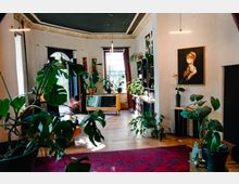 Wohnraum mit hohen Decken und großen Fenstern, eingerichtet mit zahlreichen Zimmerpflanzen, Holzböden, einem roten Teppich und eklektischem Dekor. Sichtbar sind ein antiker Schrank, Gemälde an den Wänden und eine Mischung aus modernen und klassischen Möbeln.