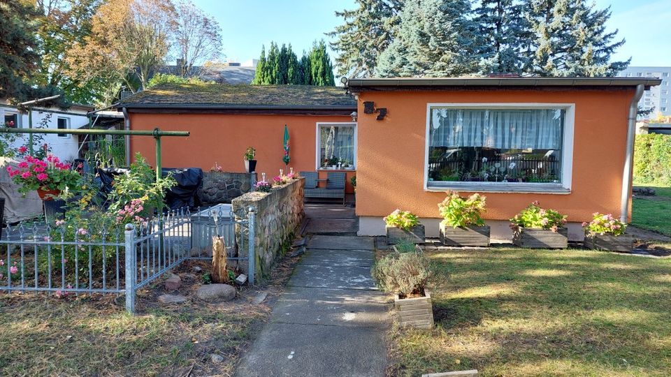 Eingeschossiges, flach gedecktes Haus mit orangefarbener Fassade und großem Frontfenster, davor ein schmaler Betonweg zum Eingang. Links befindet sich ein kleiner, eingezäunter Gartenbereich mit Beeten und Steinmauer, rechts eine Rasenfläche mit Pflanzkästen; im Hintergrund stehen hohe Bäume.