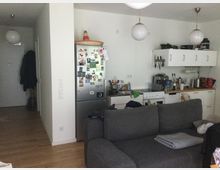 Wohnzimmer mit integrierter Küchenzeile. Im Vordergrund steht ein graues Sofa, im Hintergrund befinden sich ein Kühlschrank mit Magneten, Hängeschränke, ein Herd und eine Arbeitsplatte mit Küchengeräten; der Boden ist aus Holz.