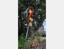 Eine Person steht auf einer Leiter und hängt dekorative Lampen in einem Baum auf. Im Vordergrund steht ein alt wirkendes, rostfarbenes Fahrrad, umgeben von Pflanzen und einem natürlichen Gartenbereich.