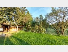 Grüne Wiese mit umgebenden Bäumen und Sträuchern, links ein hölzerner Unterstand mit Schuppen und Zaunelementen, im Hintergrund Weideflächen und ein Metallzaun.