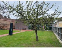 Grüne Gartenfläche mit einem blühenden Baum in der Mitte, flankiert von einem gepflasterten Weg. Im Hintergrund ein modernes Gebäude mit horizontaler Holzverkleidung und Glasfront sowie eine rote Backsteinmauer.