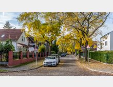 Straßenszene in einem Wohngebiet mit gepflastertem Bürgersteig und Herbstbäumen mit gelbem Laub. Links steht ein Haus mit rotem Ziegeldach und rotem Zaun, rechts sind Hecken und ein modernes Gebäude; parkende Autos säumen die Straße.