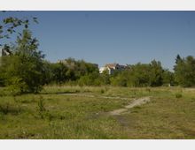 Grüne Freifläche mit vereinzeltem niedrigen Bewuchs und kleinen Bäumen im Vordergrund, im Hintergrund Gebäudefassaden mit roten Dächern sowie dichter Bewuchs aus Sträuchern und Bäumen. Der Himmel ist klar und blau.