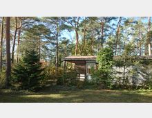 Ein kleines Haus mit Veranda, umgeben von dichtem Wald mit hohen Kiefern und Sträuchern. Die Fassade des Hauses ist teils von Pflanzen bewachsen, und der Vordergrund zeigt eine grasbewachsene Fläche.