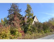 Ein verlassenes Haus mit teilweise eingestürztem Dach, umgeben von dichter Vegetation und hohen Bäumen. Im Vordergrund befinden sich überwucherte Sträucher und eine asphaltierte Straße an der rechten Bildseite.
