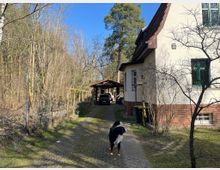 Einfamilienhaus mit weißer Fassade und rotem Klinkersockel, umgeben von kahlen Bäumen in einer ländlichen Umgebung. Im Vordergrund ein gepflasterter Weg mit einem Hund, im Hintergrund ein Carport mit einem geparkten Auto.