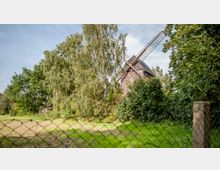 Historische Windmühle umgeben von Bäumen und dichter Vegetation auf einer Wiese, im Vordergrund ein Maschendrahtzaun. Der Himmel ist klar mit wenigen Wolken.