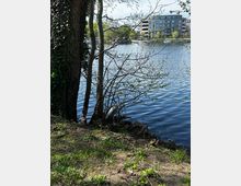 Blick auf einen Fluss mit ruhiger Wasseroberfläche, umgeben von Bäumen und Büschen im Vordergrund. Im Hintergrund sind moderne Wohngebäude und Boote am Ufer zu sehen, während ein Reiher am Wasser zwischen Bäumen steht.