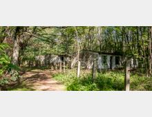 Ehemalige, baufällige Gebäude in einem dicht bewachsenen Wald mit Bäumen und Gras; die Fenster sind beschädigt, und einige Betonpfosten stehen entlang eines schmalen, unbefestigten Weges.