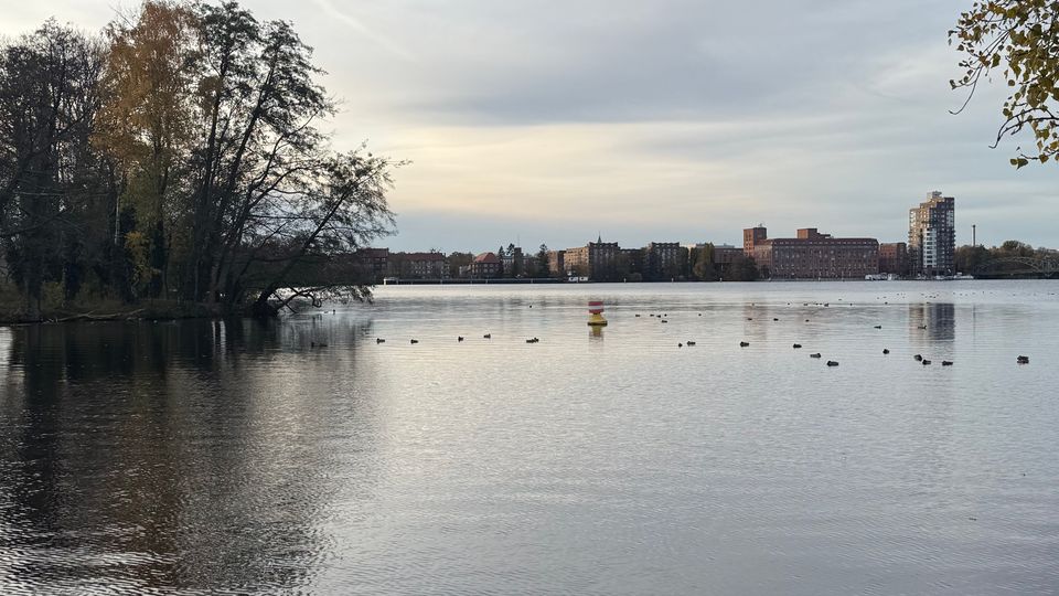 Blick über einen ruhigen See mit glatter Wasseroberfläche; am linken Ufer stehen hohe, teils herbstliche Bäume, und im Wasser sind zahlreiche Enten sowie eine gelbe Boje zu sehen. Am gegenüberliegenden Ufer verläuft eine Stadtfront mit Backsteingebäuden und einem höheren modernen Hochhaus unter bewölktem Himmel.