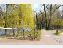 Ein Spazierweg in einem Park am Ufer eines Flusses, gesäumt von Weidenbäumen mit hängenden, grünen Zweigen. Im Hintergrund sind ein Geländer, eine Laterne sowie Radfahrer auf dem Weg zu sehen.