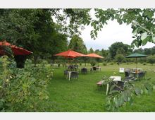 Grüne Wiese mit mehreren Tischen und Stühlen unter großen, farbigen Sonnenschirmen (orange und grün), umgeben von Bäumen und Büschen in einem Garten- oder Parkbereich. Im Hintergrund sind weitere Bäume und eine offene Rasenfläche erkennbar.