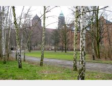 Parklandschaft mit Birken im Vordergrund, einem geschwungenen Fußweg und einer grünen Wiese; im Hintergrund ragen die Türme eines großen Backsteingebäudes empor. Die Bäume sind kahl, typisch für eine Winter- oder Frühjahrszeit.