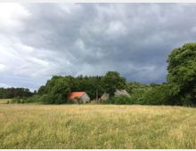 Eine ländliche Wiese mit hohen Gräsern im Vordergrund, umgeben von dichten Bäumen. In der Mitte stehen zwei Gebäude, eines mit einem roten Ziegeldach, unter einem bewölkten Himmel.