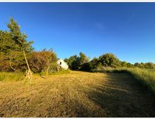 Weite Wiese mit kurzem Gras, umgeben von Bäumen und Büschen, unter klarem, blauem Himmel. Im Hintergrund steht ein weißes Gebäude, teilweise von Vegetation verdeckt.