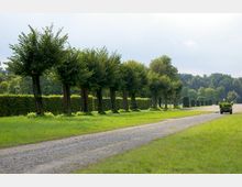 Eine Allee mit geschnittenen, dicht belaubten Bäumen führt entlang einer schmalen, unbefestigten Straße, umgeben von Rasenflächen und gepflegten Hecken. Im Hintergrund sind weitere Bäume und ein kleiner, mit Pflanzen beladener Anhänger zu sehen.