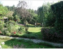 Ein gepflegter Garten mit Blumenbeeten, Sträuchern und Bäumen, darunter ein Weidenbaum im Hintergrund. Eine alte Holzkutsche mit Blumendekoration steht auf einer Rasenfläche, umgeben von dichten Pflanzen und einem Steinweg im Vordergrund.