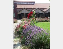 Ein Hof mit langgestreckten Stallgebäuden aus Holz und Ziegeln, vor denen ein Garten mit blühenden Lavendelsträuchern, Rosen und anderen Blumen angelegt ist. Im Vordergrund führt ein gepflasterter Weg entlang der Pflanzen.